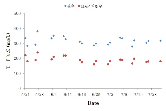 그림 16. MAP 반응조 최적운전 시 T-P 농도