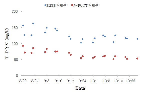 그림 29. J-PONT 반응조 유입/유출 T-P 농도