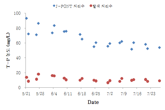 그림 34. 탈색 반응조 유입/유출 T-P 농도