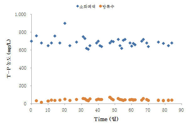 그림 64. 소화폐액/방류수의 T-P 농도 변화