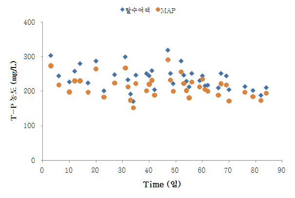 그림 69. MAP조의 T-P 제거성능