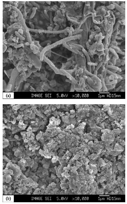 그림 3-40. 슬러지 극초단파 처리 SEM(Scanning electron micrographs)사진