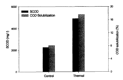 그림 3-42. 슬러치 열처리시 COD 가용화율