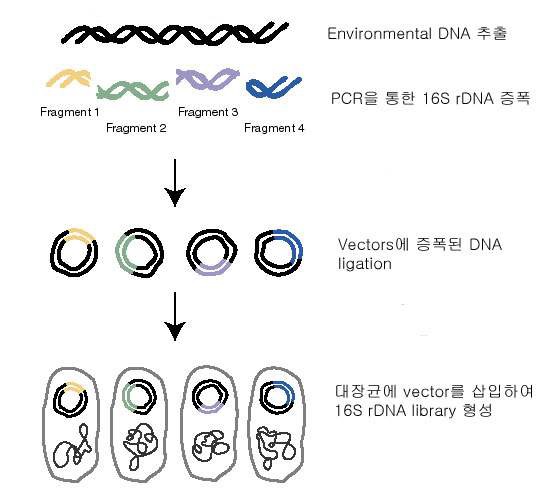 그림 3-58. 미생물 16S rDNA library 제작을 위한 실험 절차