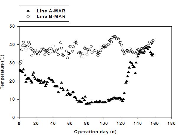 그림 3-110. Line A 및 Line B 혐기소화조에서의 온도 비교