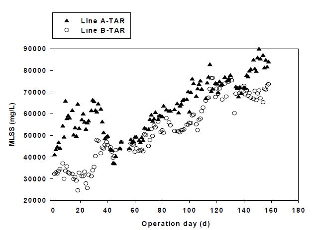 그림 3-115. Line A 및 Line B 고온호기소화조에서의 MLSS 농도 비교