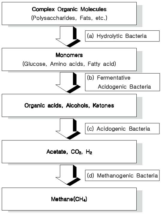 그림 1-12. 혐기성 소화공정 단계별 미생물 그룹