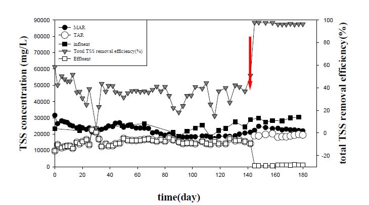 그림 3-15. HED 시스템에서 TSS 농도의 변화