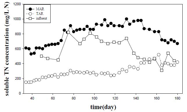 그림 3-21. HED 시스템에서 용존성 TN 농도의 변화