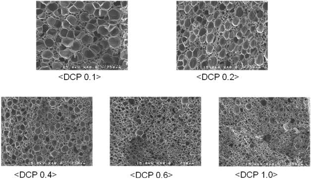 그림 3-55. 가교제 함량에 따른 탈가교된 발포폼의 morphology