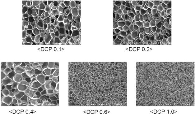 그림 3-54. 가교제 함량에 따른 Raw Material 발포폼의 morphology