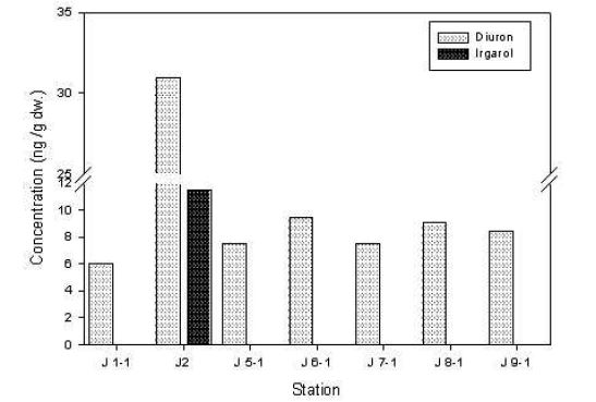 2010년 8월 J 만 내 소형 어항 주변 퇴적물중의 Diuron과 Irgarol-1051의 농도 분포
