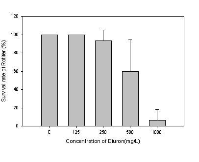 Diuron 농도에 따른 Rotifer의 생존율