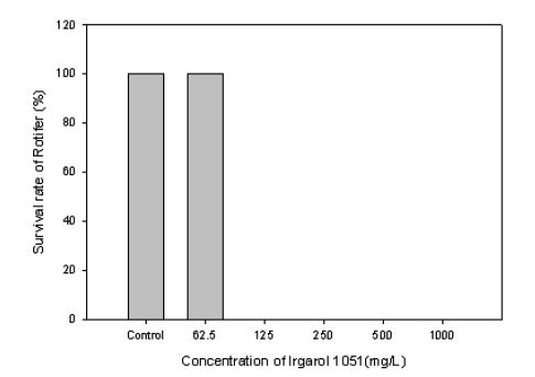 Irgarol-1051 농도에 따른 Rotifer의 생존율