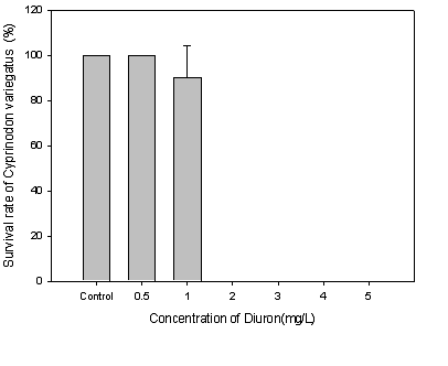 Diuron 농도에 따른 C. variegatu 의 생존율