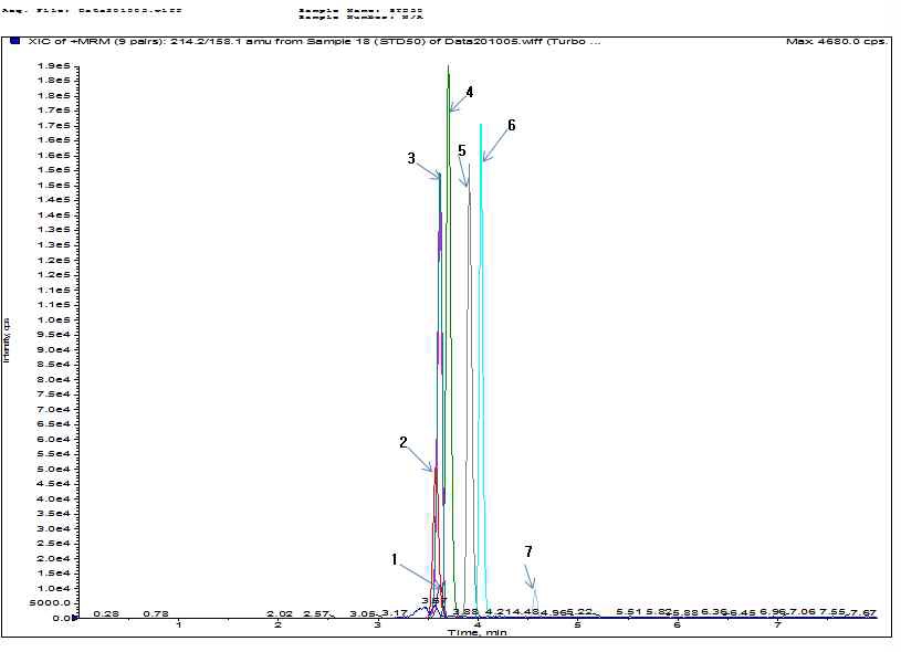 신방오화합물 표준물질의 총이온크로마토그램
