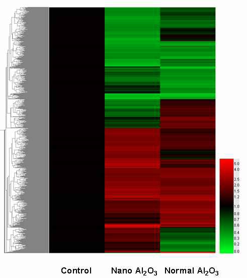 Hierarchical cluster image를 통한 나노 및 일반 알루미늄 입자에 처리에 의해 세포내 달리 발현되는 유전자 분석