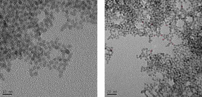 TOPO-capped CdSe의 투과전자현미경 이미지