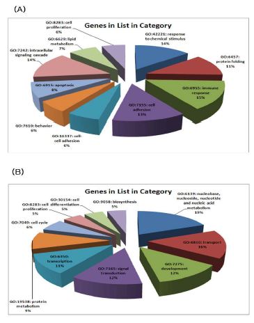 카드뮴에 의한 DNA 발현 변화: ontology 별 구분