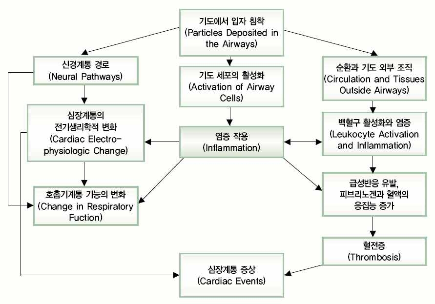 극미세입자로 인한 호흡기계와 심혈관계통의 건강영향