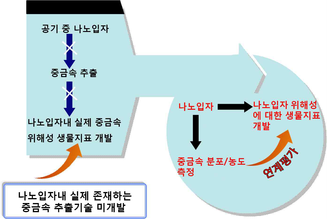 공기 중 나노입자 위해성 평가를 위한 분자 생물지표개발을 위한 연구 범위