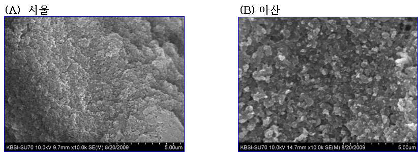 2008년 8월 서울과 아산 공기 중 나노입자의 SEM 이미지