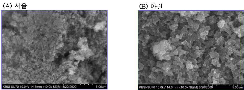 2008년 12월 서울과 아산 공기 중 나노입자의 SEM 이미지