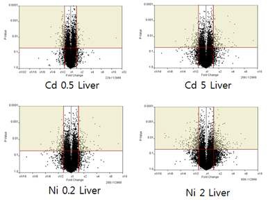 그림 82. In vivo rat model에서 카드뮴, 니켈에 의한 유전자 발현 분석