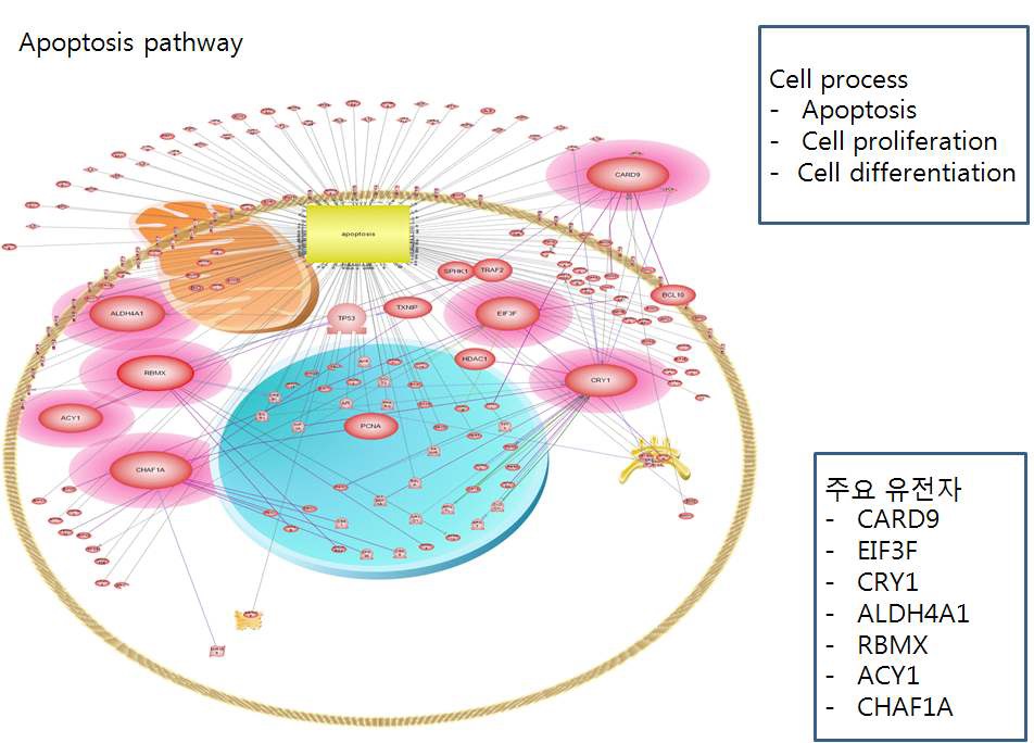 그림 88. RNA 수준에서 니켈 노출에 의해 변화된 유전자들 간 pathway 통합 분석