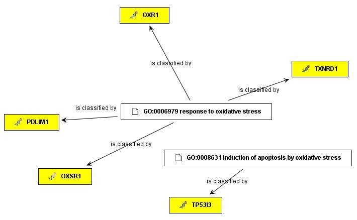 그림 117. 추출된 GO정보 (Oxidative Stress)와 카드뮴 노출에 의해 down-regulated된 유전자들과의 상관관계