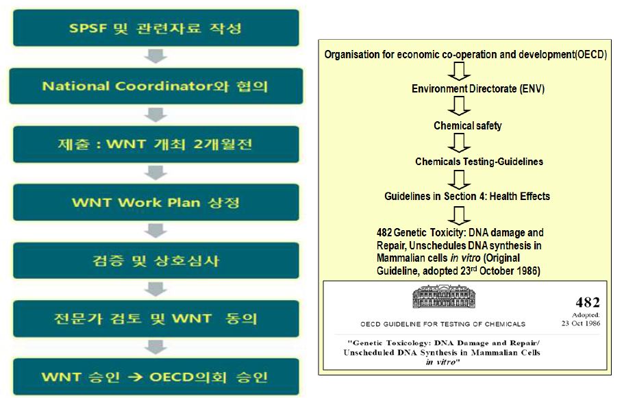 그림 24. OECD 표준화 시험법 상정 절차 (왼쪽) 및 유전독성 관련 시험법의 OECD 등록 예