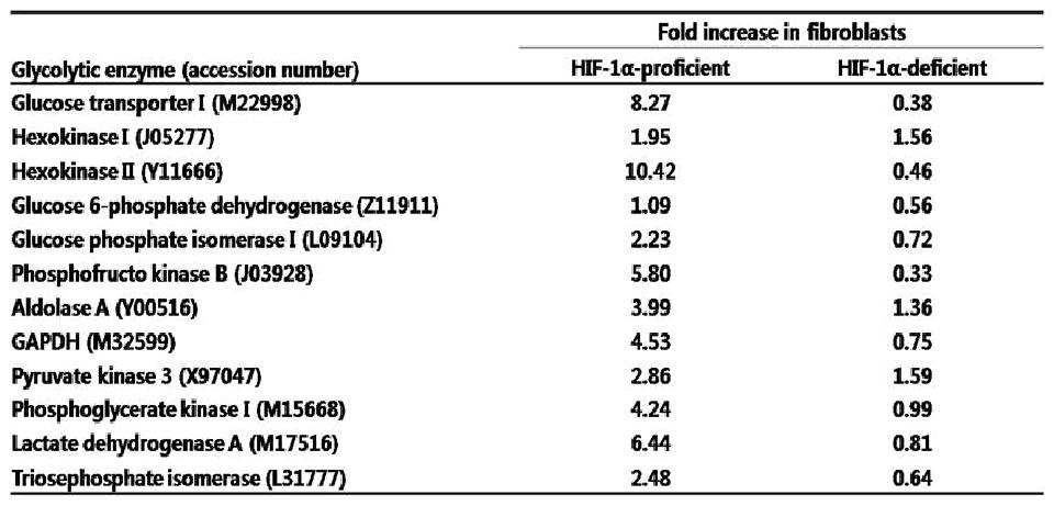 니켈 노출에 의한 유전자의 발현 변화 예 (Konstantin Salnikow et al., Metalstoxicity, 2002)