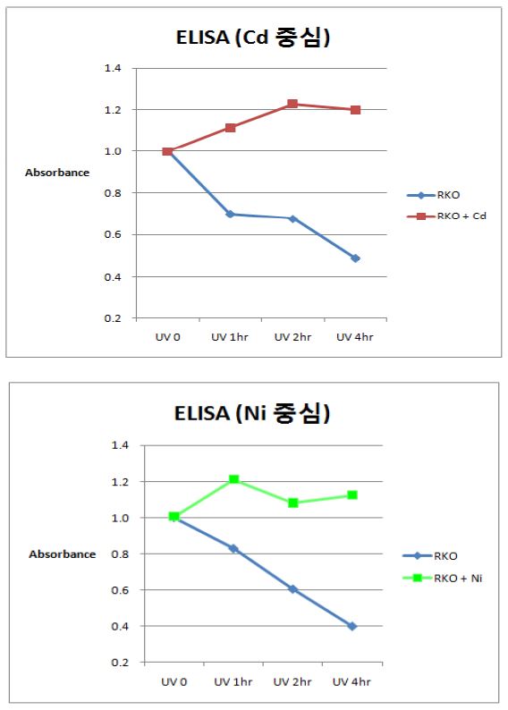 그림 56. 유해 중금속 카드뮴, 니켈에 의한 유전자 수복 저해 확인