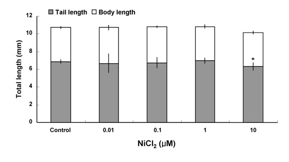 염화니켈 처리 농도에 따른 무당개구리 유생의 길이변화