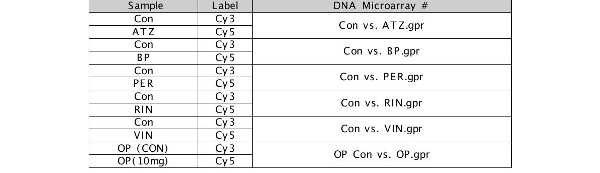 Microarray 시료형광표지 및 샘플 배치