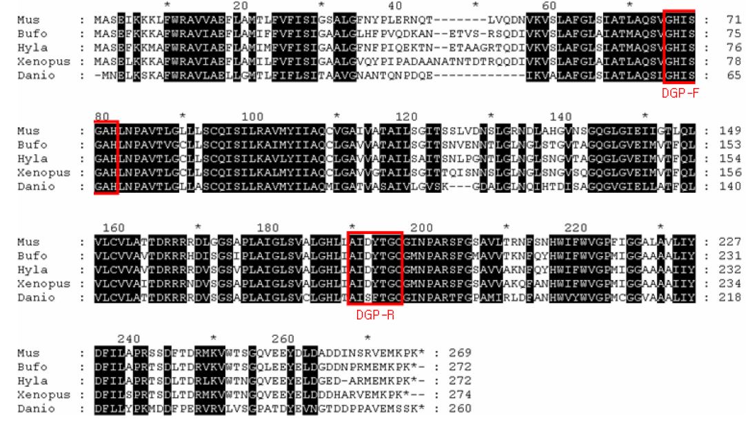 AQP1 단백질 아미노산 서열의 상동성 비교 분석 및 degenerativeprimer 제작