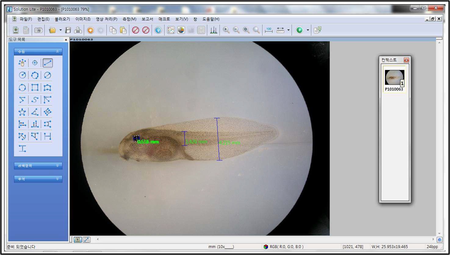 이미지 분석 프로그램을 이용한 무당개구리 유생의 길이측정
