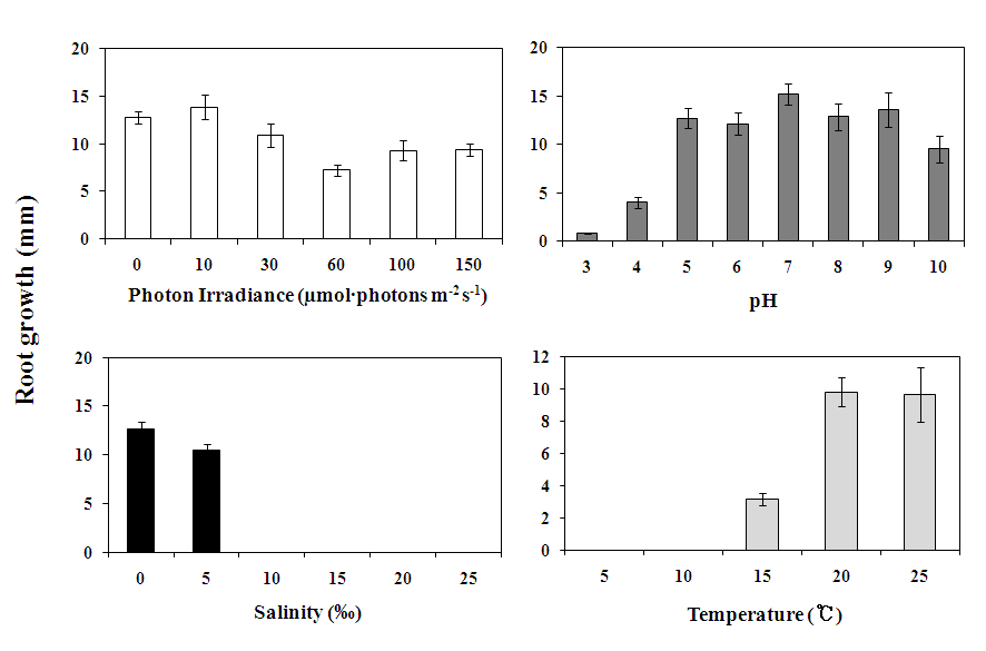 그림 4. 광조사량, pH, 염분, 온도에 따른 상추의 뿌리 생장