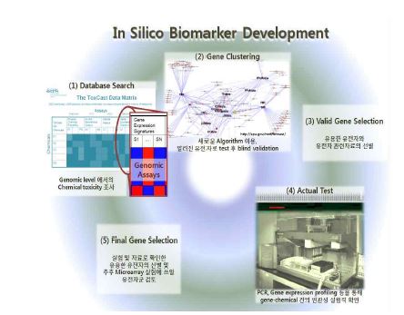 그림 2-1 In Silico Meta-Analysis를 통한 독성 유전체 마커의 발굴