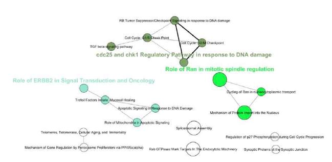 그림 3-15 17b-estradiol 그룹에서 Co-regulated Gene BioCarta 분석