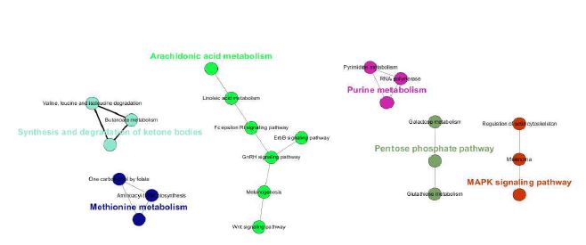 그림 3-16 KEGG pathway databased로 분석된 over-representation.