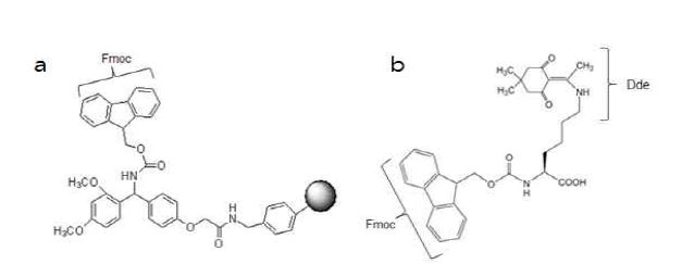 그림 3-29 고체상 펩타이드에 사용되는 Rink amide resin(a)과 첫 번째로 합성되는 Lysine(b)의 화학구조.