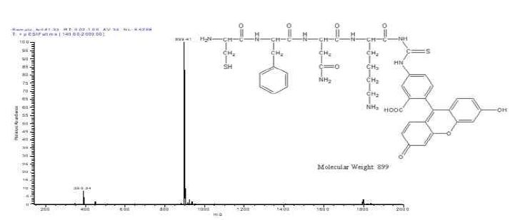 그림 3-30 LC-Mass spectrometer를 통해 합성된 CFNK-FITC 분석.