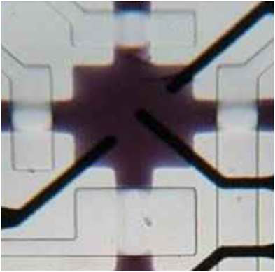 그림 3.138 마이크로 전극으로 제작된 세포칩