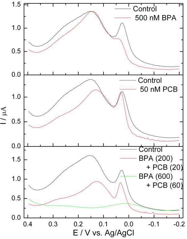 그림 3.172 (상) BPA 500nM, (중) PCB 50nM 및 (하) BPA, PCB 동시 처리 시 PC12 세포의 전류 봉우리 세기 변화