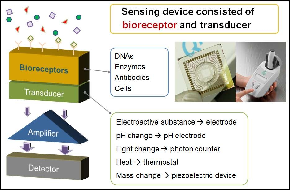 그림 2 바이오센서의 개념도.