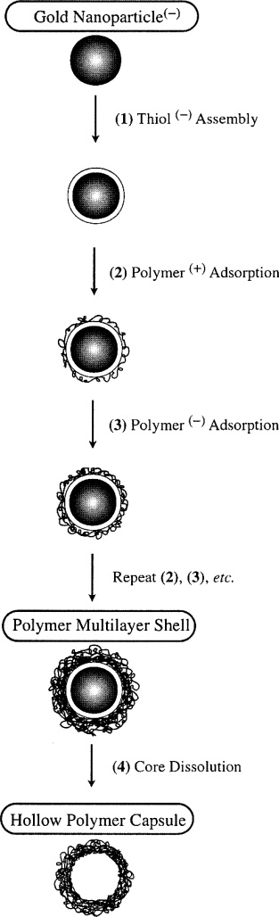 그림 8 금 나노입자 표면에 대한 polyelectrolyte로의 개질 개념도