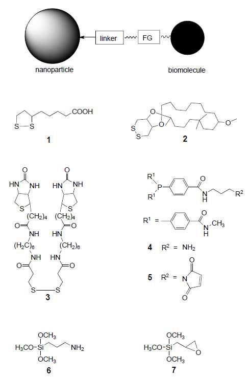 그림 9 나노입자와 생체분자 결합에 이용되는 linker의 예