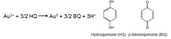 그림 20 하이드로퀴논(HQ)에 의한 염화금 이온의 환원반응