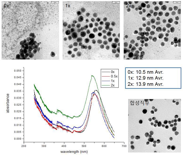 그림 29 용액상태에서의 과산화수소 농도별 금 나노입자 성장 반응. 1x 과산화수소는 약 10 uM